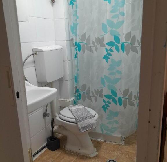 스탠다드 룸, Ikaros