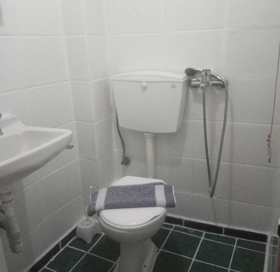 스탠다드 트리플 룸, Ikaros