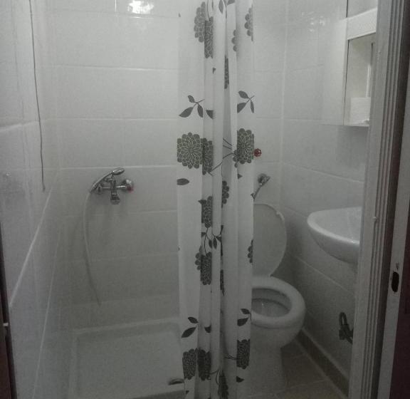 4인용 스탠다드 룸, Ikaros