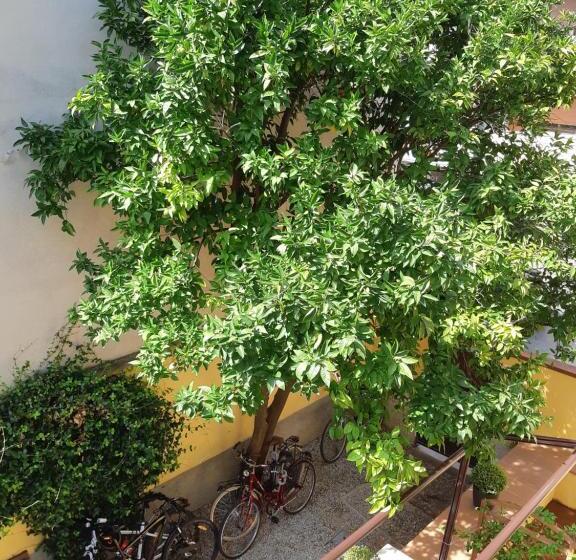 اتاق استاندارد, L Aranceto&stilnovo