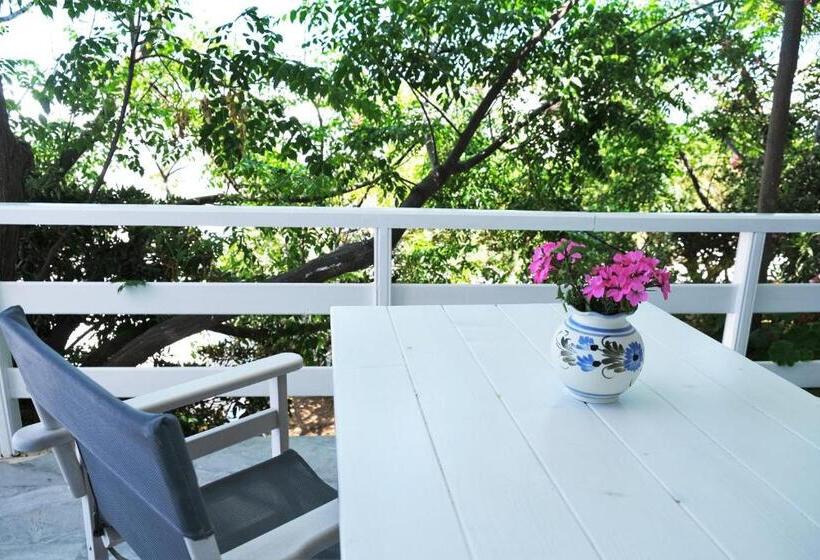 إستوديو قياسى, Bungalows Marina