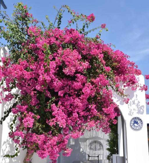 غرفة قياسية, Bungalows Marina