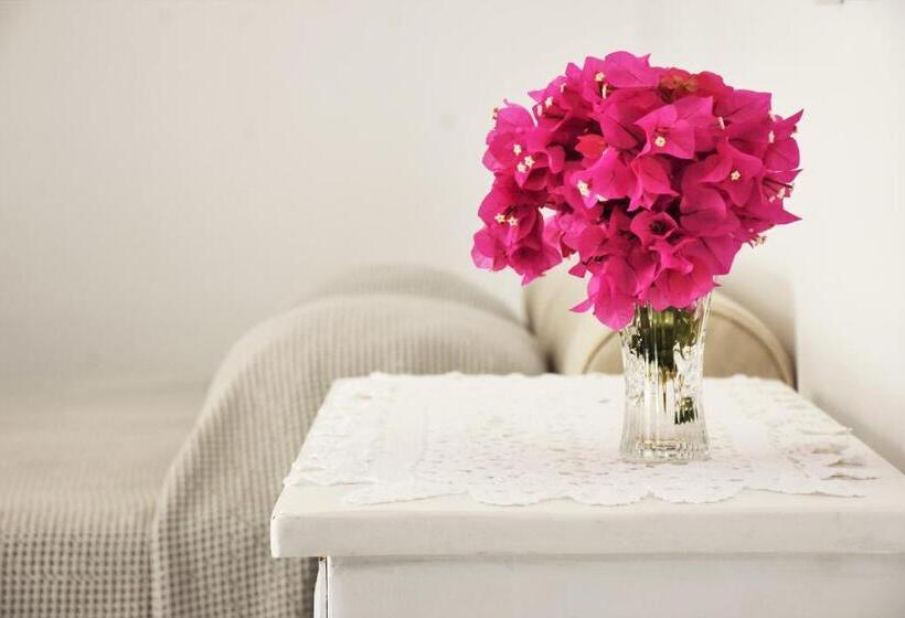 استوديو إقتصادى, Bungalows Marina