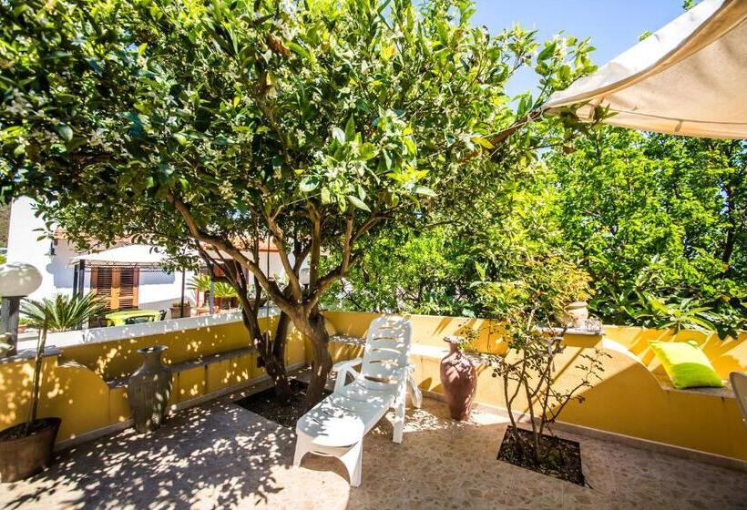 스탠다드 테라스 룸 바다 전망, Casa Papiro