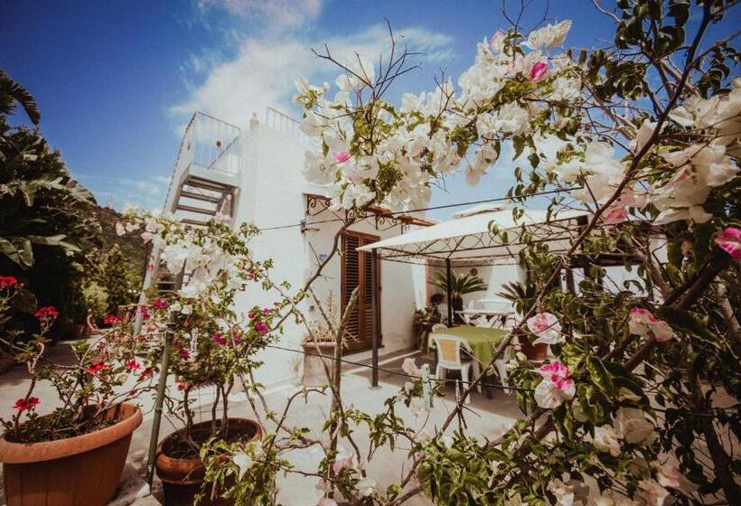 스탠다드 테라스 룸 바다 전망, Casa Papiro