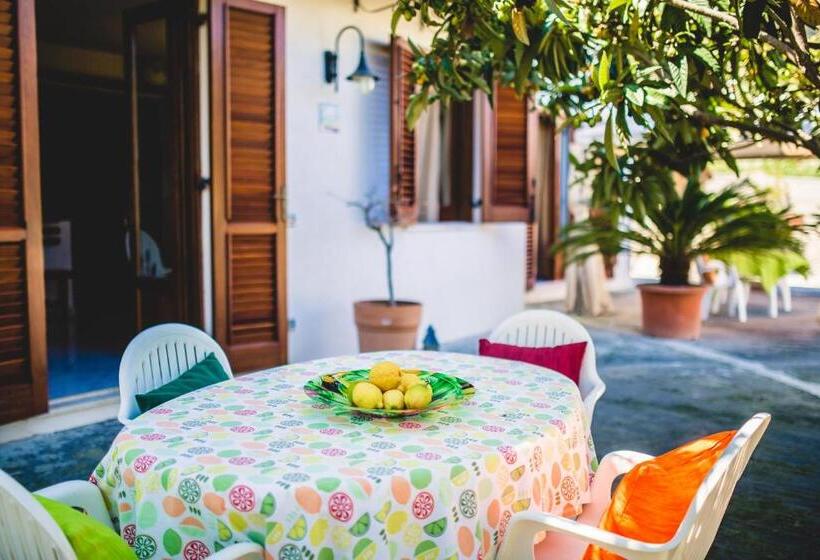 آپارتمان خانوادگی, Casa Papiro