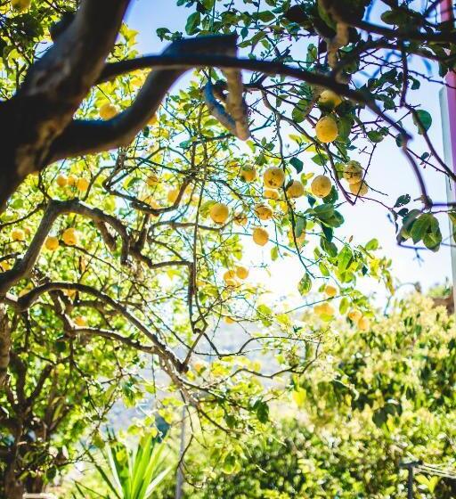 패밀리 아파트, Casa Papiro