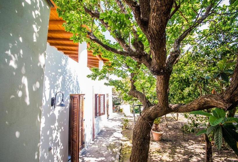 패밀리 아파트, Casa Papiro