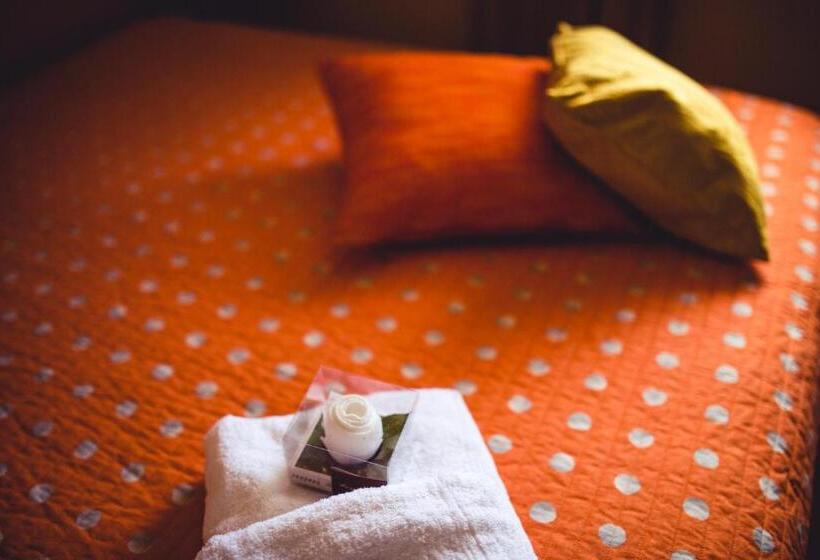 클래식 스튜디오, Casa Papiro