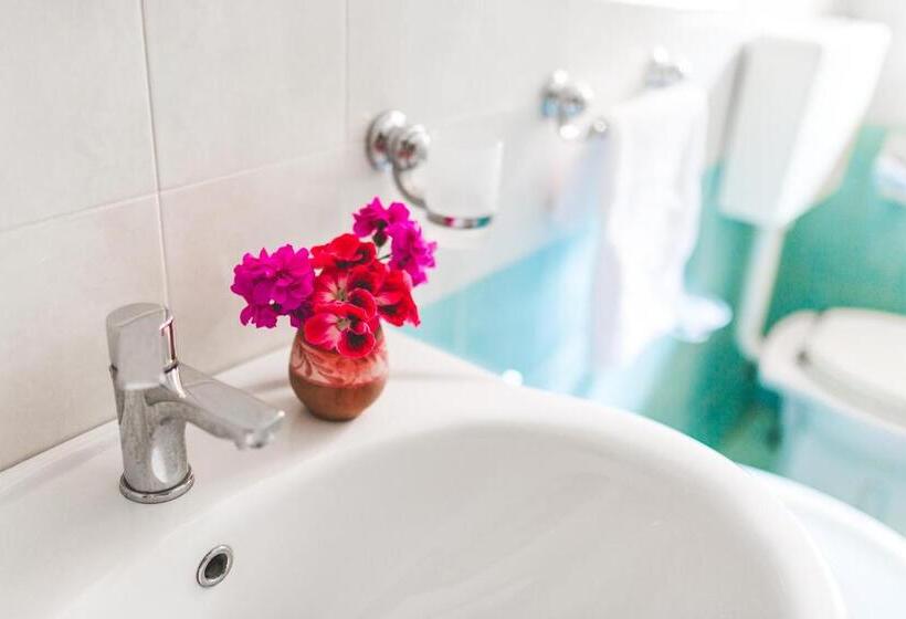 클래식 스튜디오, Casa Papiro