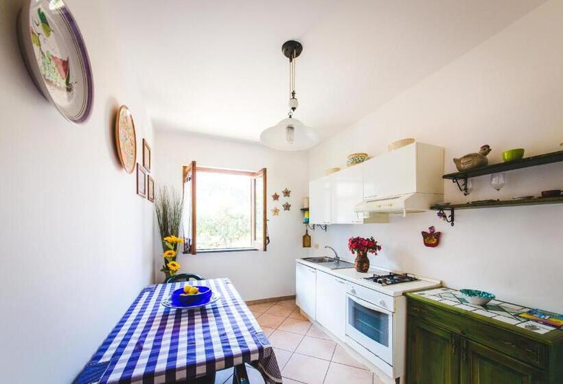 클래식 스튜디오, Casa Papiro