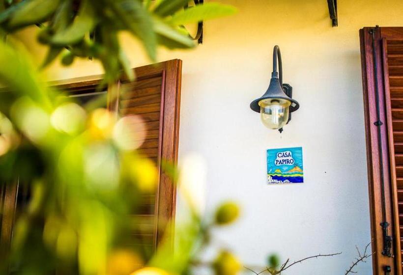 آپارتمان خانوادگی, Casa Papiro