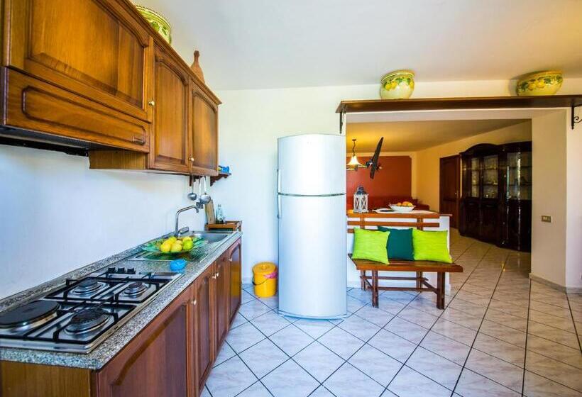 آپارتمان خانوادگی, Casa Papiro