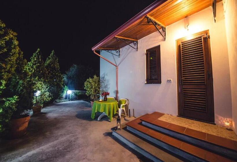 클래식 스튜디오, Casa Papiro