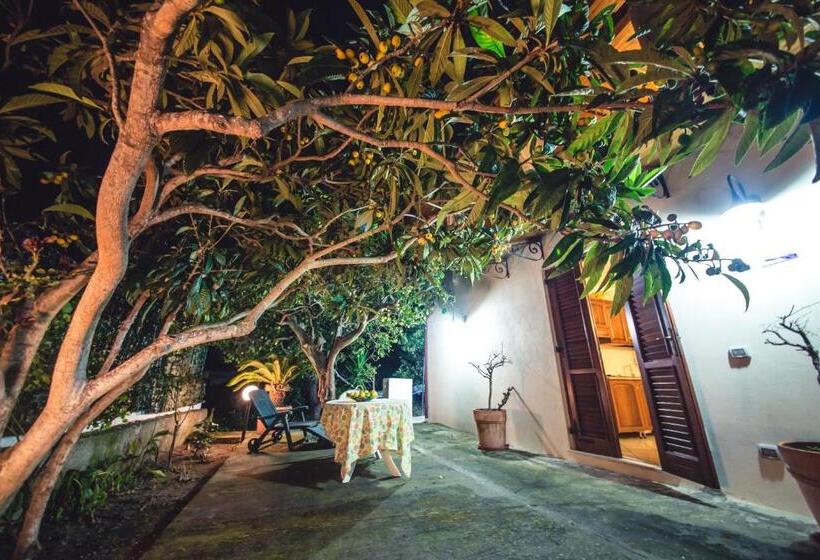 패밀리 아파트, Casa Papiro