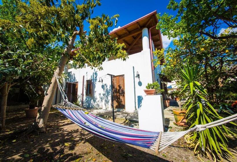 패밀리 아파트, Casa Papiro