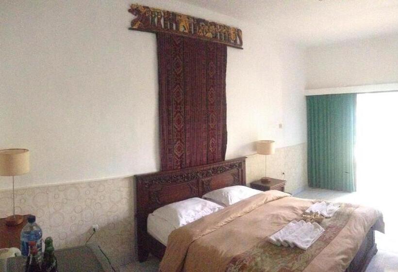 デラックスルーム, Meriki Apartment