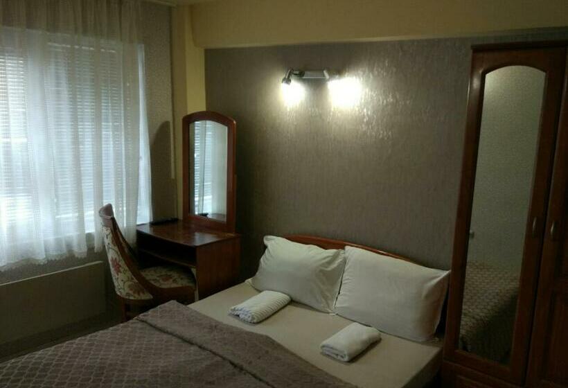 스탠다드 싱글 룸, Family Hotel Kartala