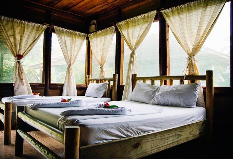 غرفه قياسيه سريرين مزدوجين, Canto De Ballenas