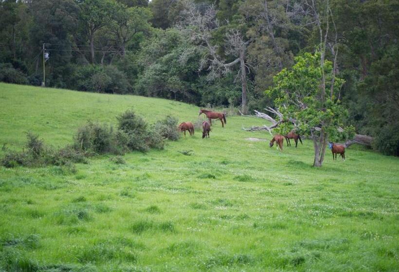 标准平房, Oakhurst Farm Cottages