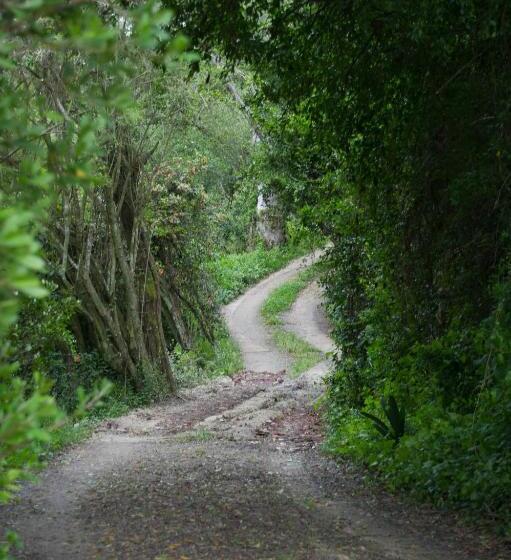 标准平房, Oakhurst Farm Cottages