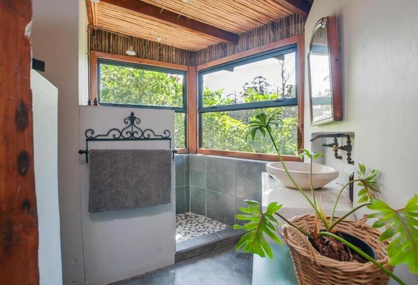 标准平房, Oakhurst Farm Cottages