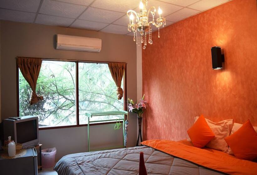 غرفة قياسية, Italay Zone Sea