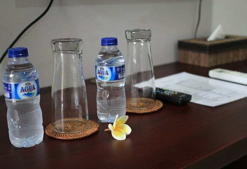 高级大房间, The Kutaya