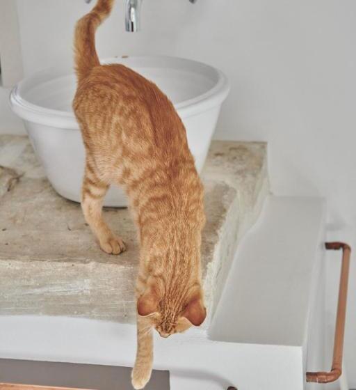 수피리어 룸 가든 전망, Masseria Prosperi