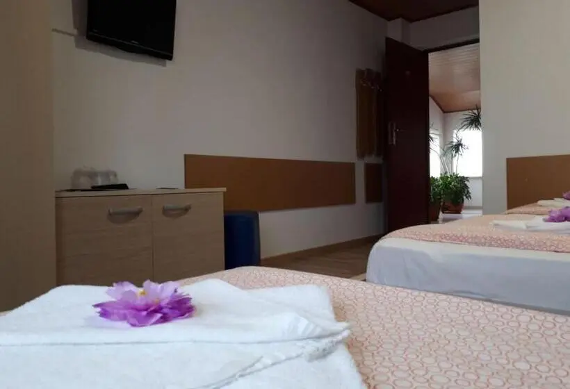 اتاق کلاسیک سه تخته, City Comfort Villa