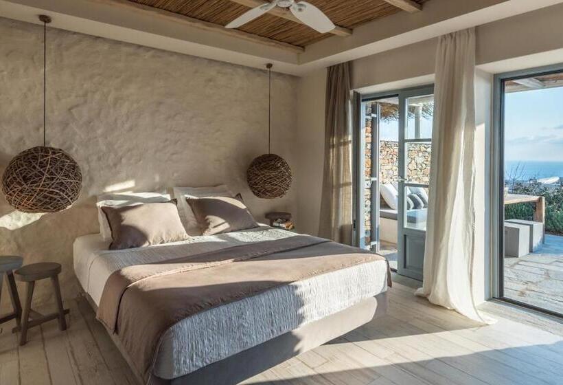 חדר סופריור, Verina Astra