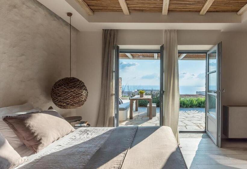 חדר סופריור, Verina Astra