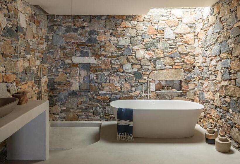 סוויטת ג'וניור עם טרסה, Verina Astra