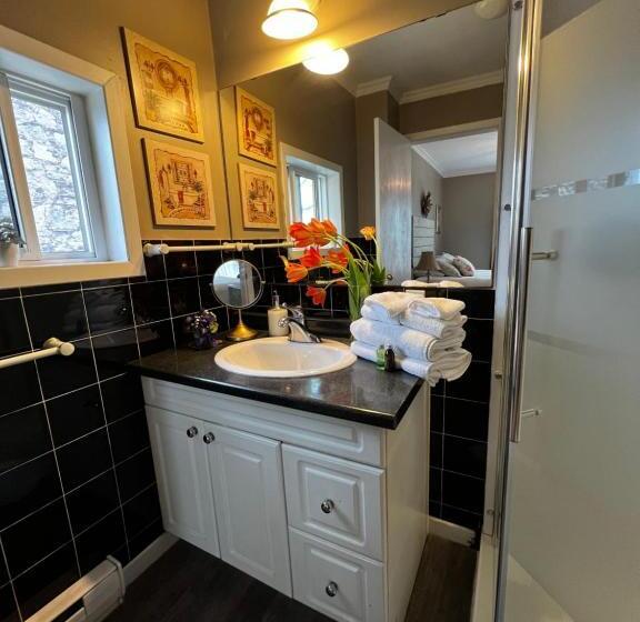 جناح ديلوكس, Adams Inn