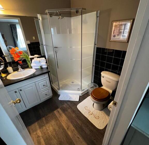 جناح ديلوكس, Adams Inn