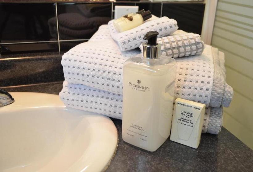 جناح ديلوكس, Adams Inn