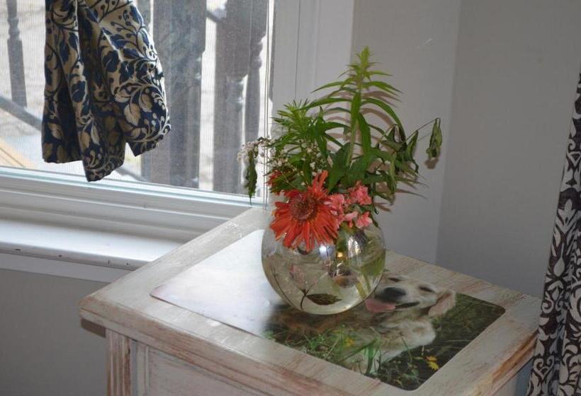 جناح عائلي, Adams Inn