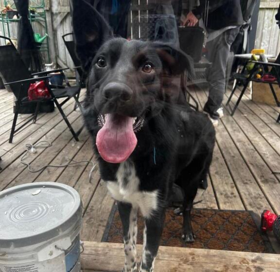 غرفة سوبيريور, Adams Inn