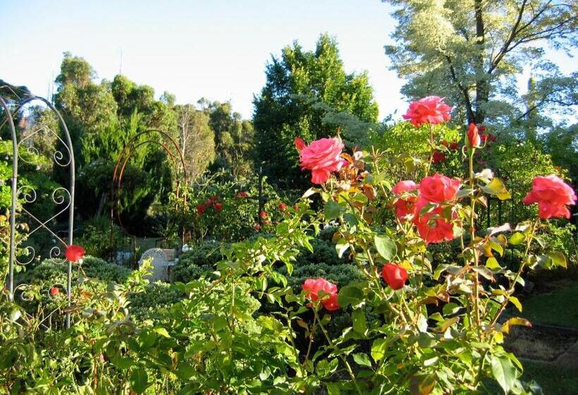 סוויטה, Crabtree House