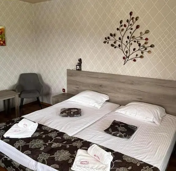 اتاق استاندارد, Family Hotel Emaly 2