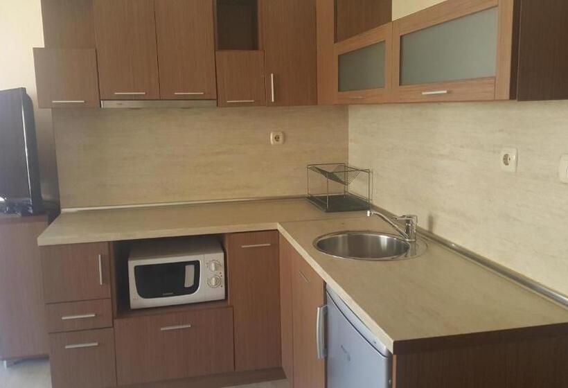 דירת חדר, Alegra