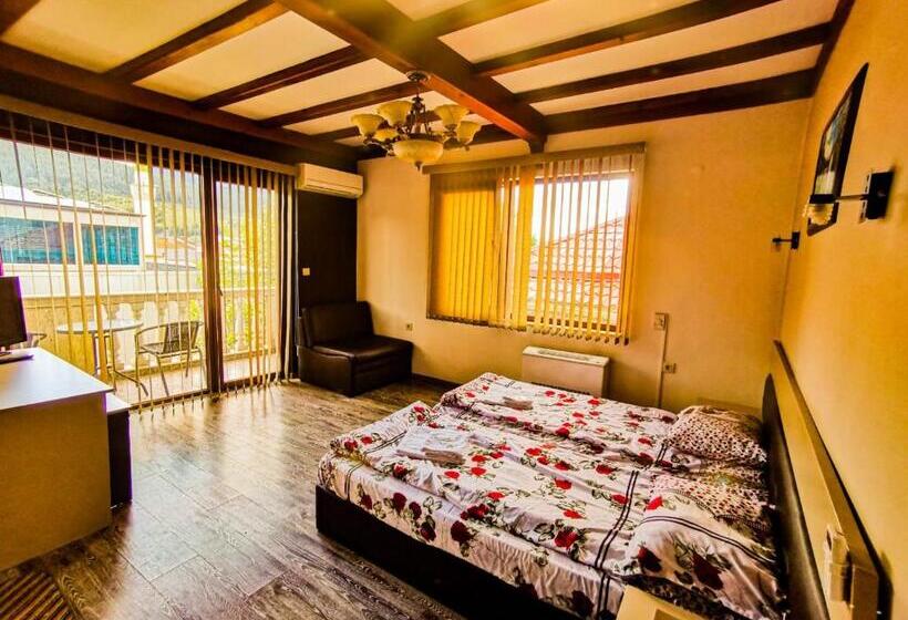 غرفة قياسية, Alikante