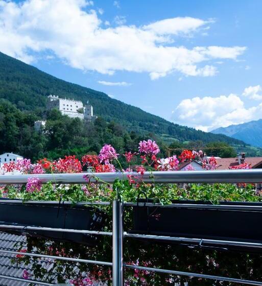 标准间带阳台, Engel