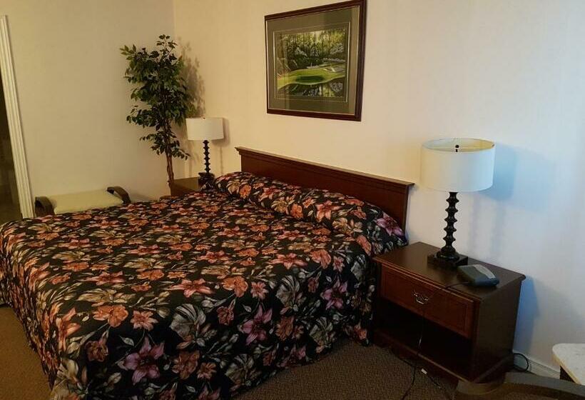 غرفة قياسية سرير كينج, Lakeview Resort Motel