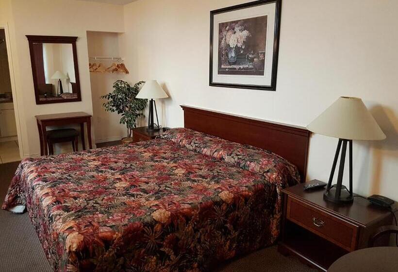 带大床的标准间, Lakeview Resort Motel