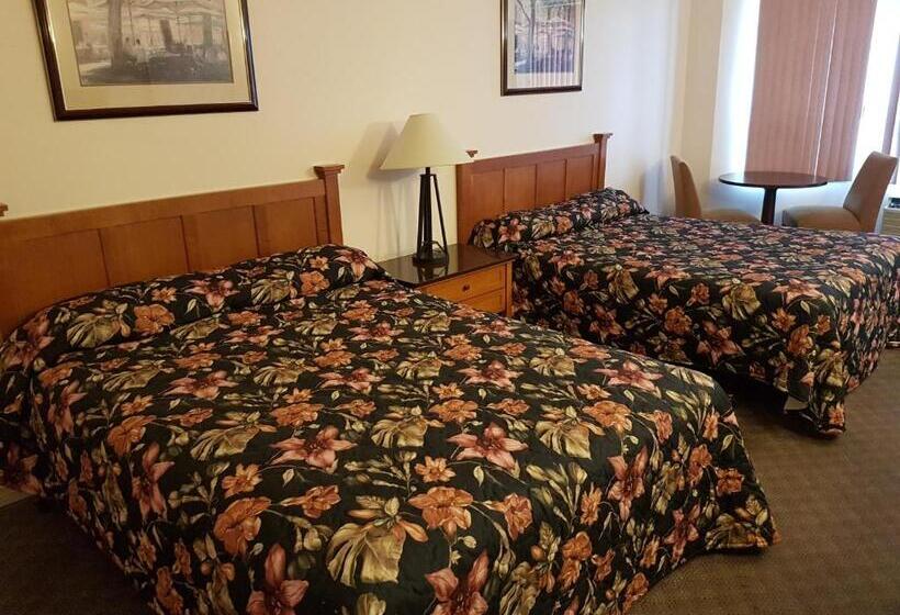豪华房间, Lakeview Resort Motel
