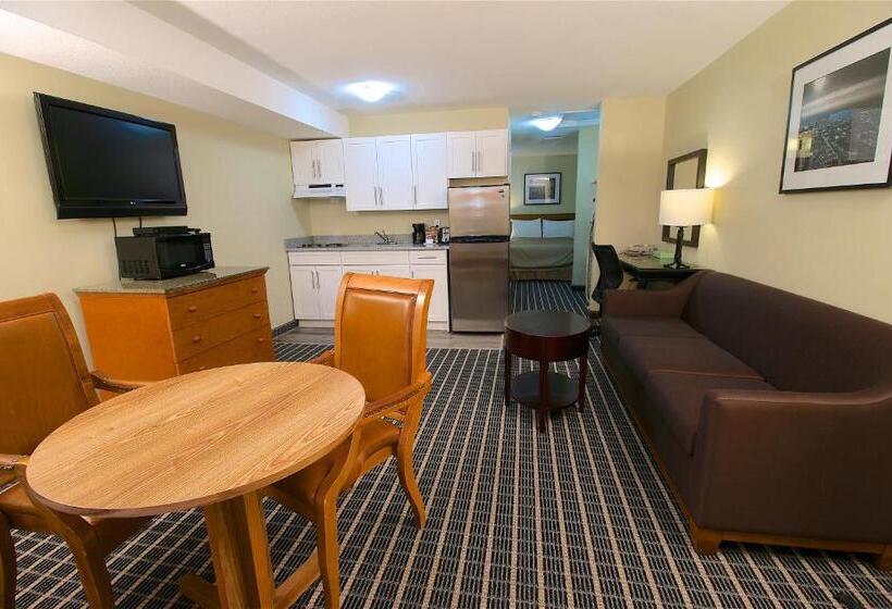 إستوديو ديلوكس, Medicine Hat Inn & Suites