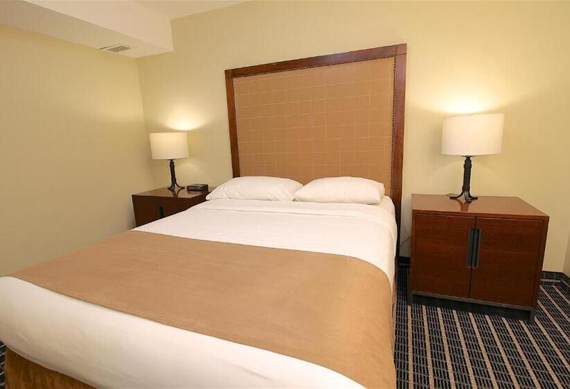 إستوديو ديلوكس, Medicine Hat Inn & Suites