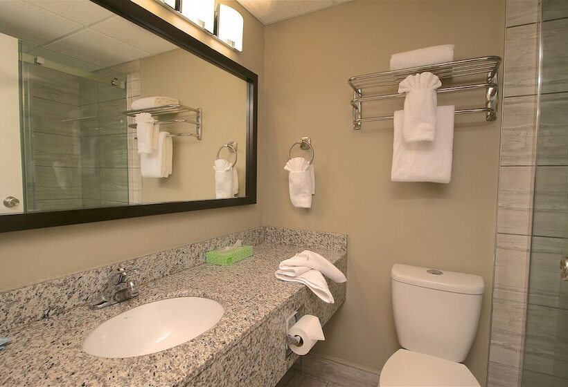 Номер Deluxe, Medicine Hat Inn & Suites