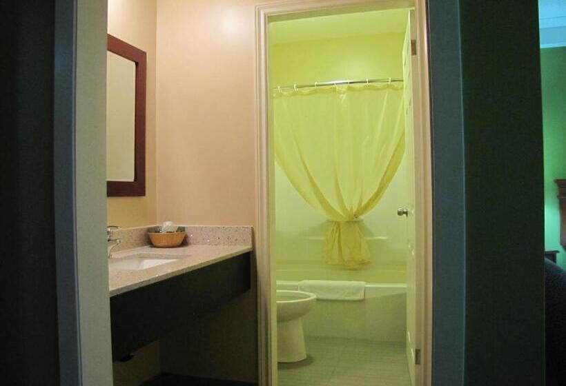 高级大房间, Northland Motel